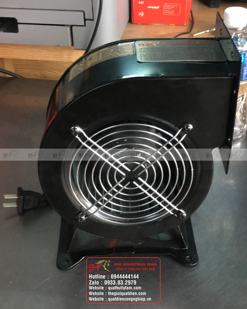 Quạt sò mini giá rẻ