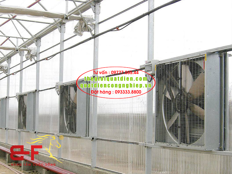 Quạt thông gió làm mát cấp khí tươi