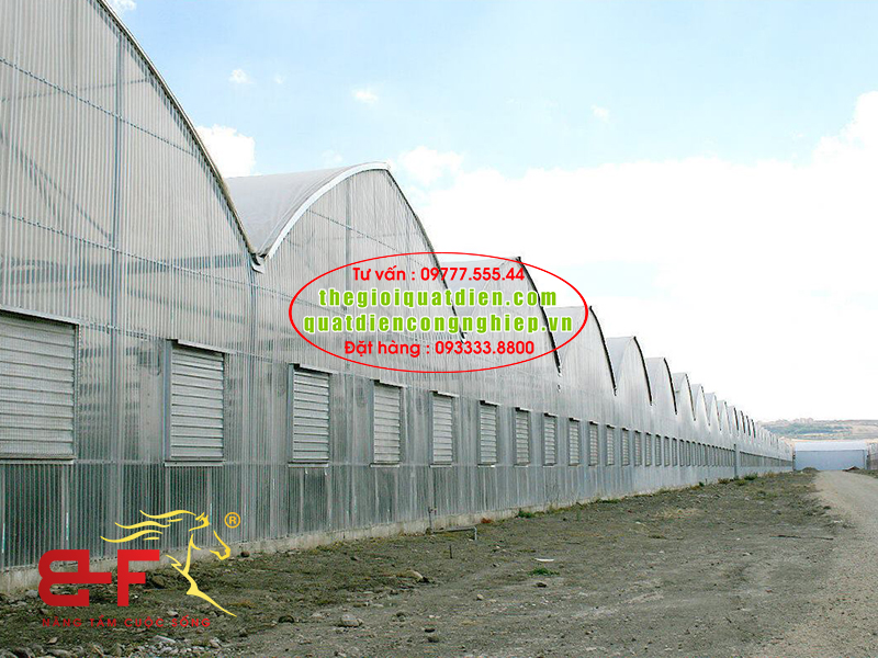 Quạt thông gió nhà kính trồng hoa