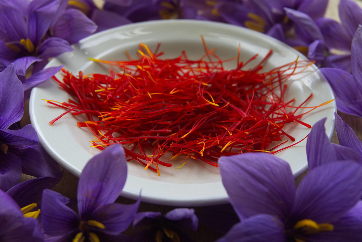 Saffron là gì? Công dụng của nhụy hoa nghệ tây