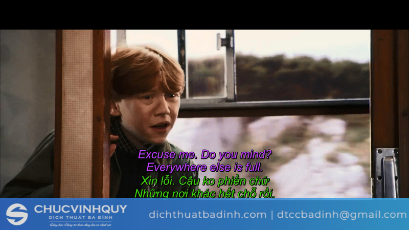 Greenfish Subtitle Player