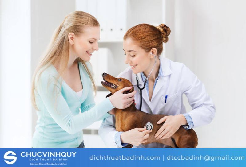 Nhu cầu dịch tiếng Anh chuyên ngành thú y