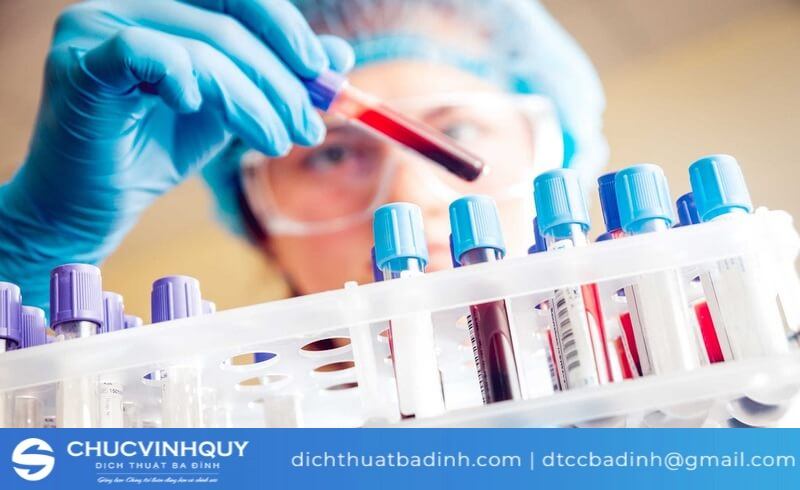 Dịch thuật Ba Đình - Địa chỉ dịch thuật hàng đầu Việt Nam