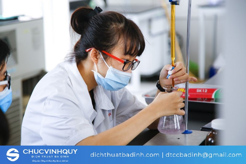 Nhiều việc làm đa dạng với thu nhập hấp dẫn