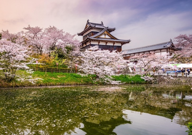 Dich-vu-dich-thuat-cong-chung-tieng-Nhat-chuyen-nghiep-nhat