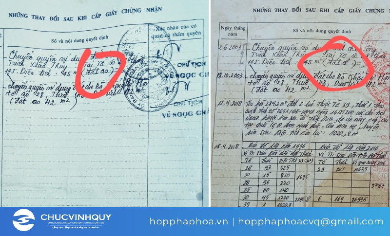 Giấy tờ bị tẩy xóa