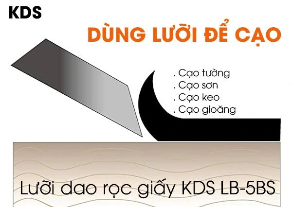 Công dụng & Ứng dụng thực tế