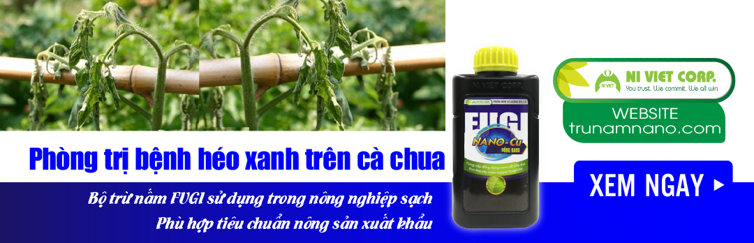 nano-dong-fugi-nano-cu-thuoc-phong-tri-benh-heo-xanh-vi-khuan-tren-ca-chua