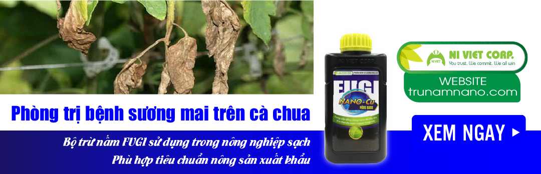 nano-dong-fugi-nano-cu-thuoc-phong-tri-benh-suong-mai-tren-ca-chua