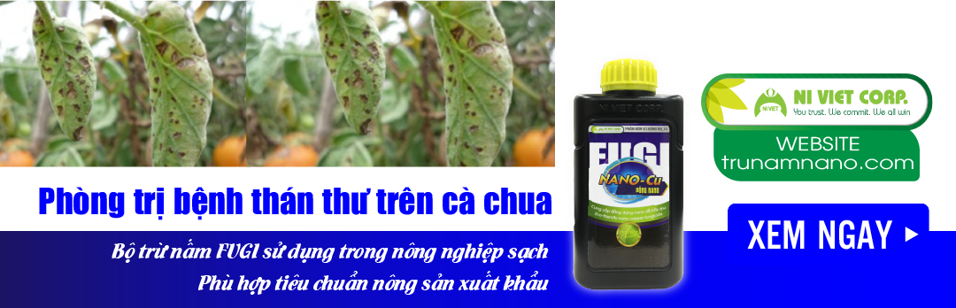 nano-dong-fugi-nano-cu-thuoc-phong-tri-benh-than-thu-tren-ca-chua