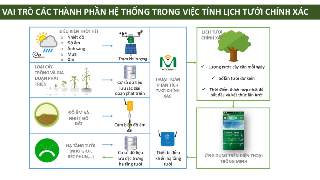 Quy trình quản lý tưới nước chính xác của ứng dụng Mimosatek