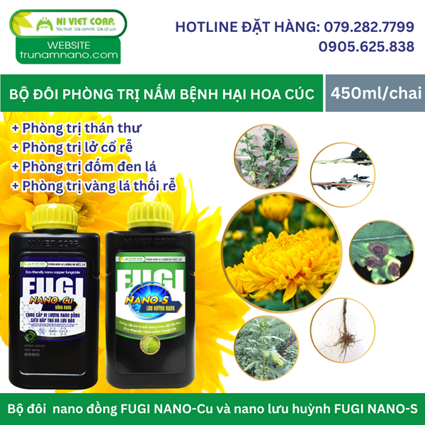 phong-tri-nam-benh-hai-hoa-cuc