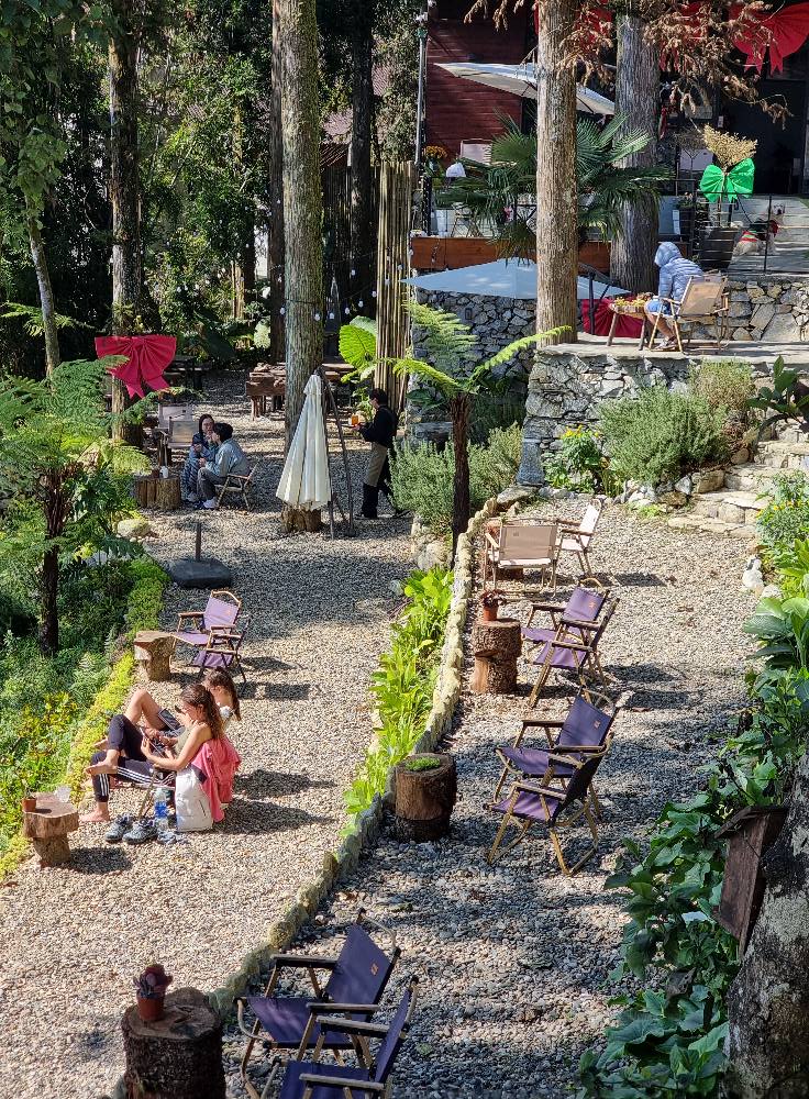 The Pine Forest Sapa