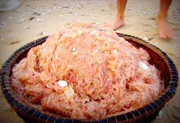 dam-da-ruoc-sa-xu-hue
