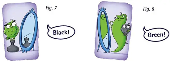 HƯỚNG DẪN LUẬT CHƠI GHOST BLITZ: 5 TO 12