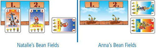 Tìm hiểu về luật chơi Bohnanza Board Game