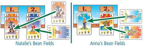 Tìm hiểu về luật chơi Bohnanza Board Game