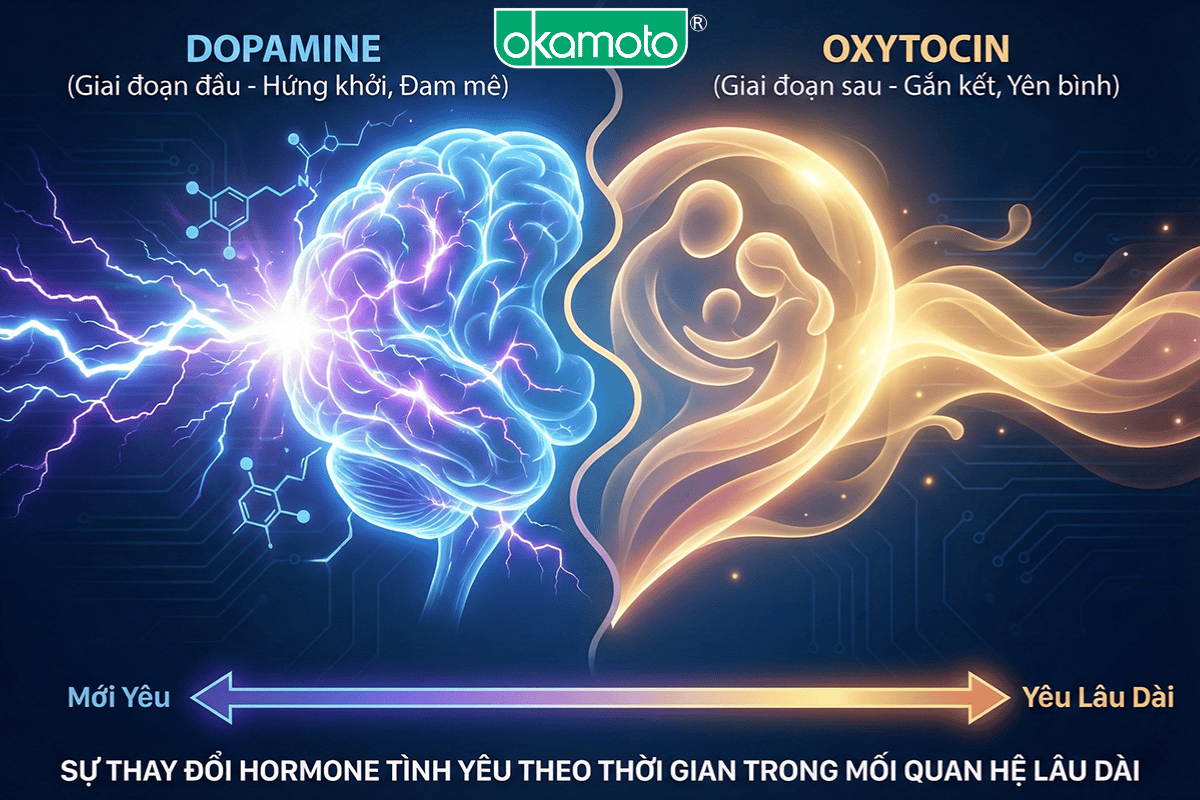 ham muốn tình dục giảm theo thời gian do thay đổi hormone