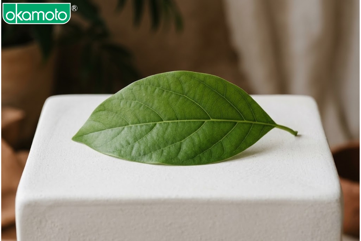 Thực đơn giàu kẽm, arginine và omega-3 cải thiện khô hạn và tăng sinh lý.