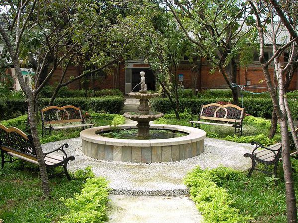 Hành kim trong thiết kế tiểu cảnh