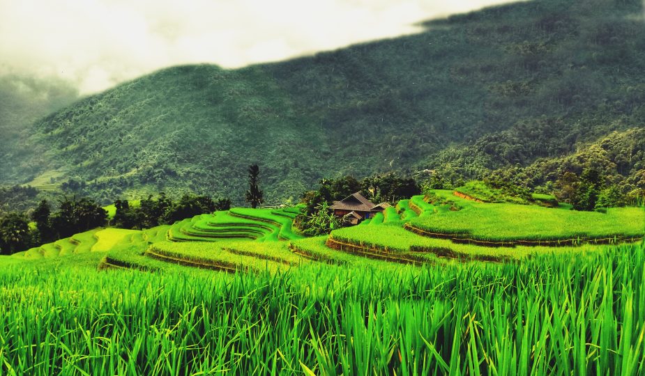 ruong-bac-thang-na-thac-khuoi-my-lung-vai