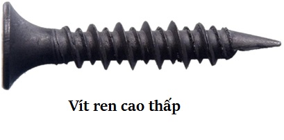 Vít ren cao thấp