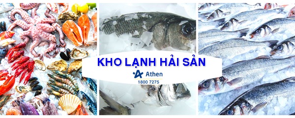 Lắp đặt kho lạnh bảo quản hải sản sẽ giúp kéo dài thời gian sử dụng thực phẩm