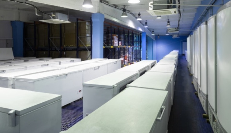 Sửa chữa tủ đông