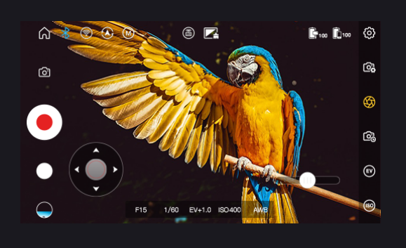 Gimbal weebill LAB - tay cầm chống rung cho máy ảnh Zhiyun weebill