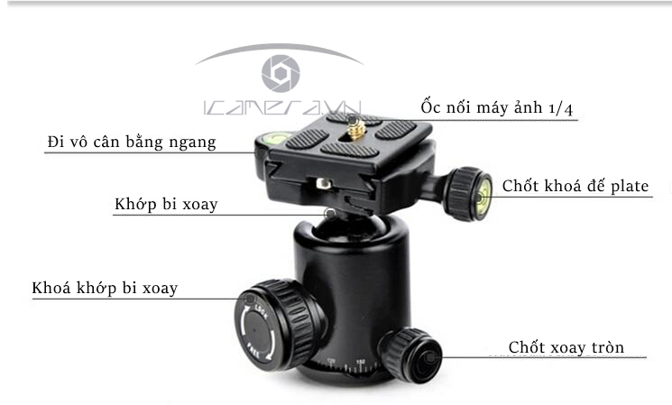 Chân máy ảnh Tripod Beike QZSD Q999S