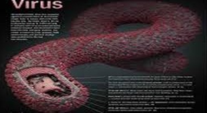 Virus Ebola có lây lan qua bàn phím không?
