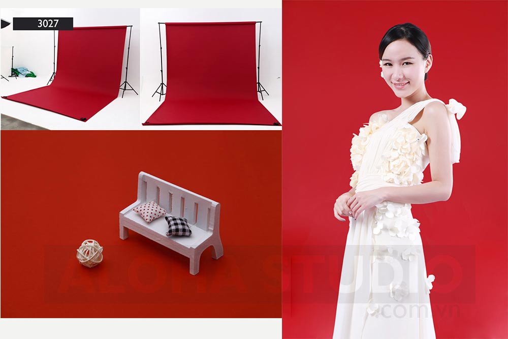 Kết quả hình ảnh cho phông đơn sắc aloha studio