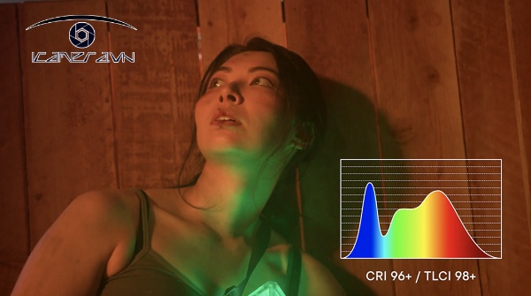 Đèn Aputure LS 600d Standard