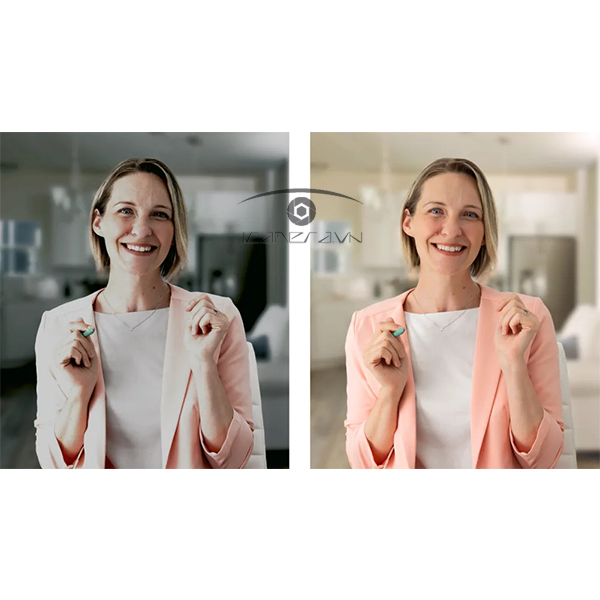 Webcam Logitech Brio 505