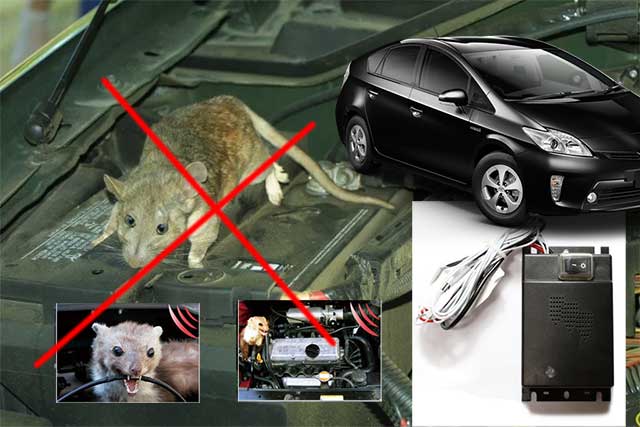 Máy đuổi chuột cho xe ô tô xe hơi sóng siêu âm AM-366