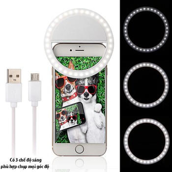 Đèn led selfie gắn điện thoại Ring Light RK-12