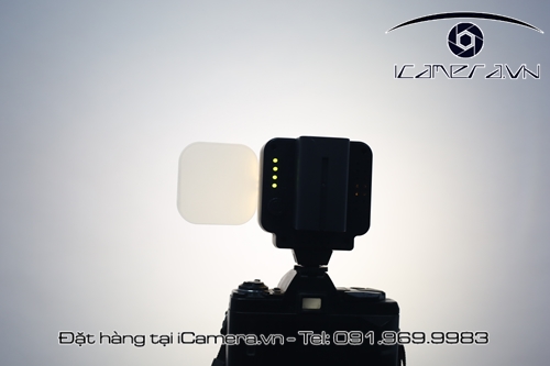 Đèn Led studio tản sáng filter lật cánh 4 bóng T4 giá rẻ Zifon