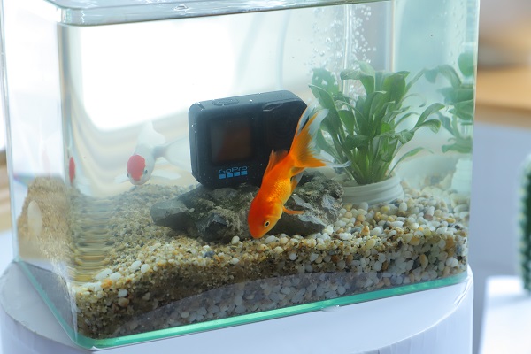 Sự kiện ra mắt GoPro HERO 12 Black tại Hà Nội