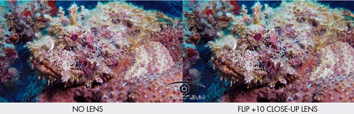Ống kính cho GoPro Hero Close-up Macro lens 10x chụp cận cảnh