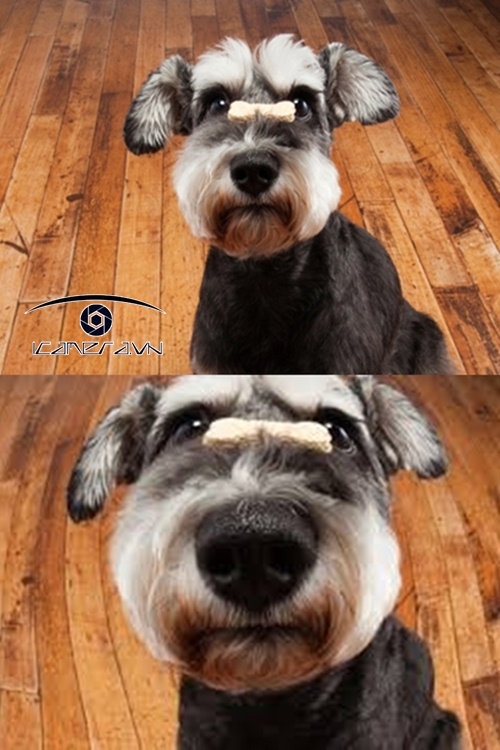 Ống kính smartphone set đầy đủ hiệu ứng tele, macro, fisheye, góc rộng đa năng