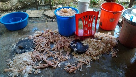 Theo nội dung chia sẻ thì tác giả vô tình bắt gặp cảnh tượng kinh hãi này sau khi anh và cơ quan đang đi nghỉ mát và dừng chân tại cửa hàng nem chua H.C (Thanh Hóa).