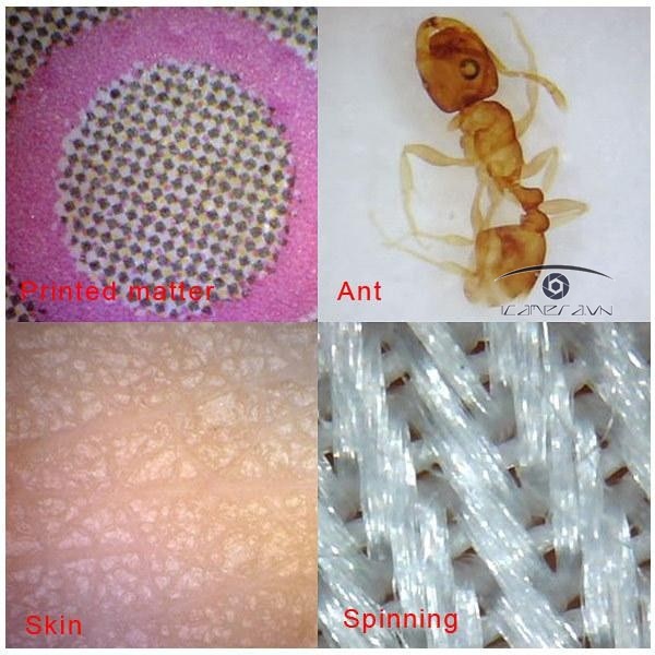 Kính hiển vi điện tử U500x USB Digital Microscope xem trên laptop, PC