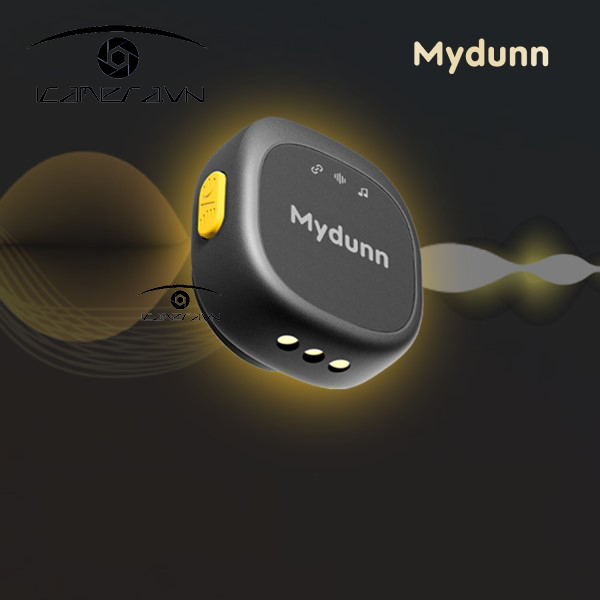 Micro không dây Mydunn D07