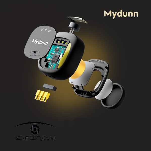 Micro không dây Mydunn D07