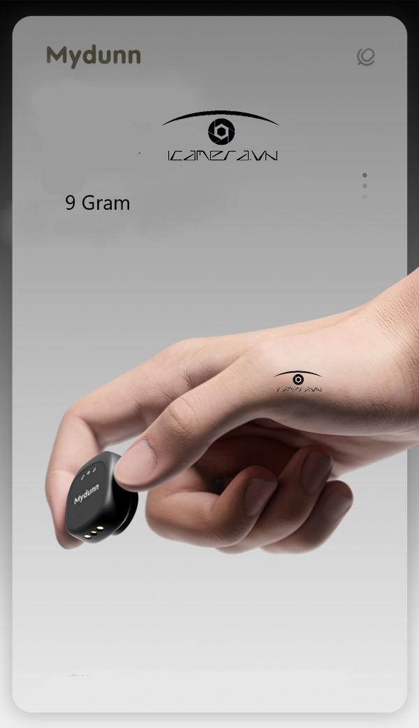 Micro không dây Mydunn D07