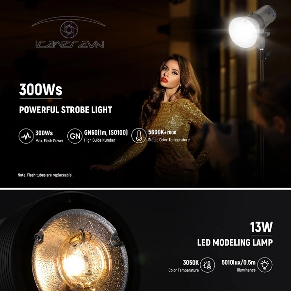 NEEWER Q300 300Ws 2.4G Outdoor Strobe Flash