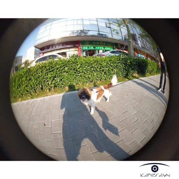 ong kinh fisheye ulanzi op8 gia re ha noi