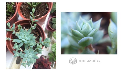 Ống kính chụp ảnh cho smartphone 3 trong 1 Macro, góc rộng, đèn led Lieqi LQ-035