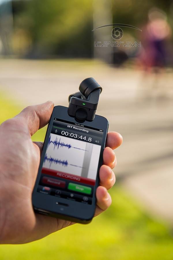 Micro thu âm Rode i-XY stereo microphone