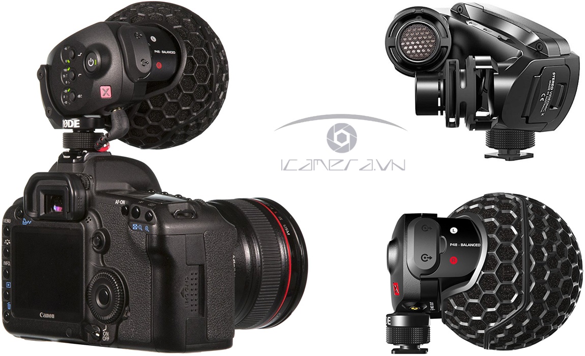 mic thu âm rode stereo videomic X